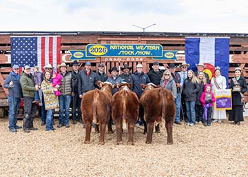 Champion Overall Hereford Pen of Bulls