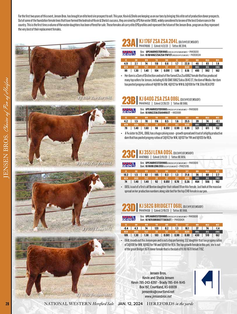 Hereford Cattle | Jensen Bros