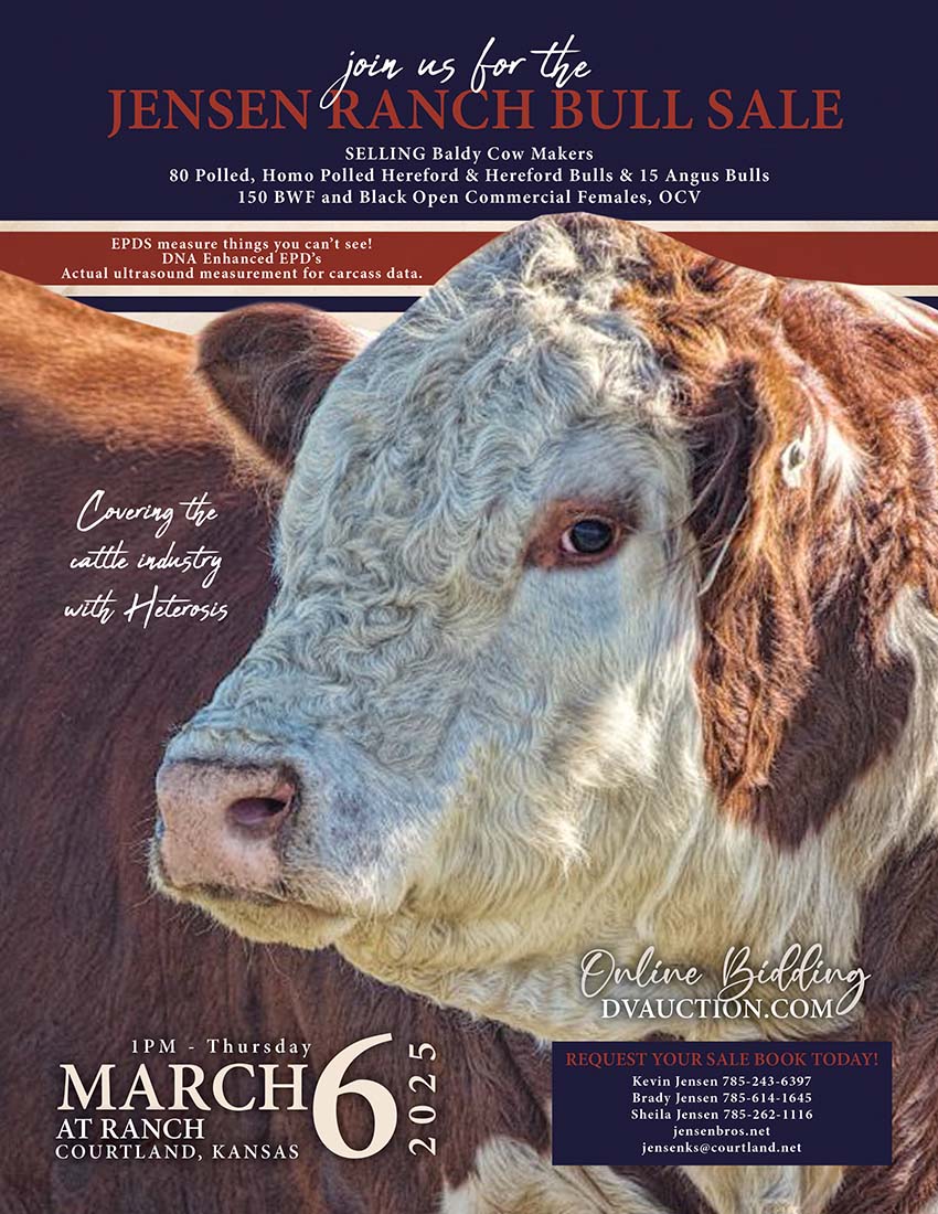 Jensen Ranch Bull Sale